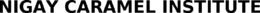 NIGAY CARAMEL INSTITUTE trademark