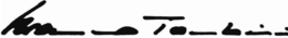 MASSIMO TAMBURINI trademark