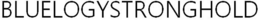 BLUELOGYSTRONGHOLD trademark