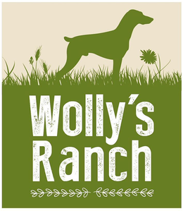 WOLLY'S RANCH trademark