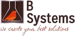 B SYSTEMS WE CREATE YOUR BEST SOLUTIONS trademark