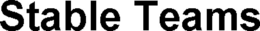 STABLE TEAMS trademark