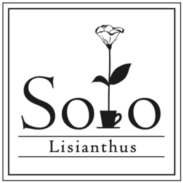 SOLO LISIANTHUS trademark