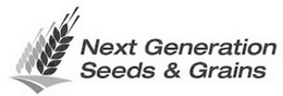 NEXT GENERATION SEEDS & GRAINS trademark