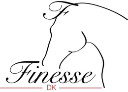 FINESSE DK trademark