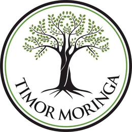 TIMOR MORINGA trademark