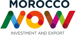 MOROCCO NOW INVESTMENT AND EXPORT trademark