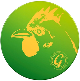 OBITELJSKA TRADICIJA GAVRILOVIC 1690 trademark
