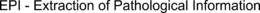EPI - EXTRACTION OF PATHOLOGICAL INFORMATION trademark