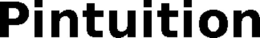 PINTUITION trademark