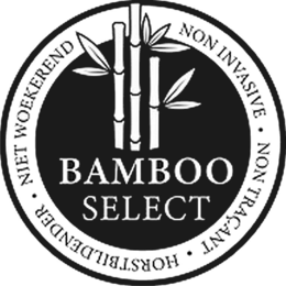 BAMBOO SELECT NIET WOEKEREND NON INVASIVE NON TRAÇANT HORSTBILDENDER trademark