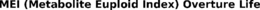 MEI (METABOLITE EUPLOID INDEX) OVERTURE LIFE trademark