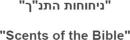"SCENTS OF THE BIBLE" trademark