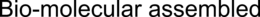 BIO-MOLECULAR ASSEMBLED trademark
