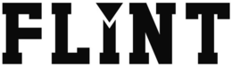 FLINT trademark