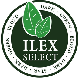 ILEX SELECT DARK · GREEN · BLOND · DARK · STAR · DARK · GREEN · BLOND trademark