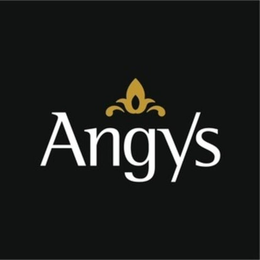 ANGYS trademark