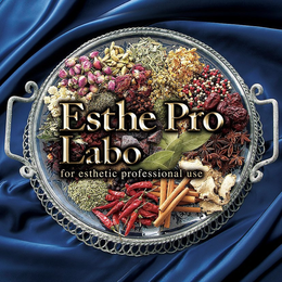 ESTHE PRO LABO FOR ESTHETIC PROFESSIONAL USE trademark