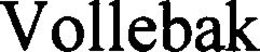 VOLLEBAK trademark