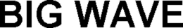 BIG WAVE trademark