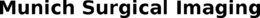 MUNICH SURGICAL IMAGING trademark