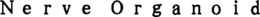 NERVE ORGANOID trademark