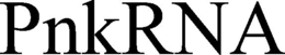 PNKRNA trademark