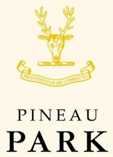 PROVIDENCIAE ME COMMITTO PINEAU PARK trademark