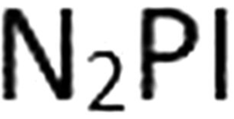 N2PI trademark