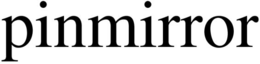 PINMIRROR trademark