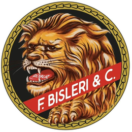 ROBUR F. BISLERI & C. trademark