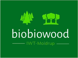 BIOBIOWOOD IWT-MOLDRUP trademark