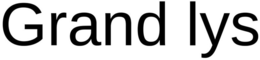 GRAND LYS trademark