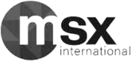 MSX INTERNATIONAL trademark