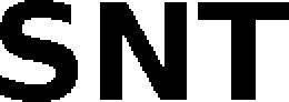 SNT trademark