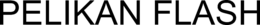 PELIKAN FLASH trademark