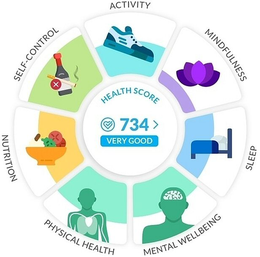 HEALTH SCORE 734 VERY GOOD ACTIVITY MINDFULNESS SLEEP MENTAL WELLBEING PHYSICAL HEALTH NUTRITION SELF-CONTROL trademark