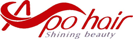 APO HAIR SHINING BEAUTY trademark