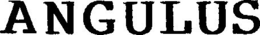 ANGULUS trademark