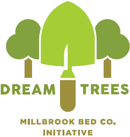 DREAM TREES MILLBROOK BED CO. INITIATIVE trademark