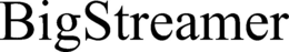 BIGSTREAMER trademark
