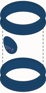 BFM trademark