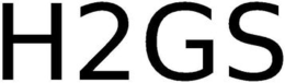 H2GS trademark