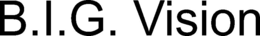 B.I.G. VISION trademark