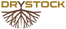 DRYSTOCK trademark