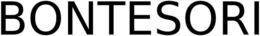 BONTESORI trademark