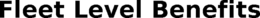 FLEET LEVEL BENEFITS trademark