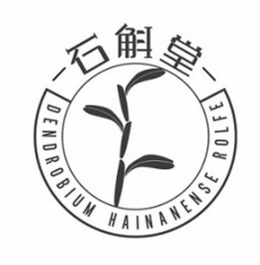 DENDROBIUM HAINANENSE ROLFE trademark