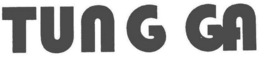 TUNG GA trademark