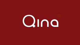 QINA trademark